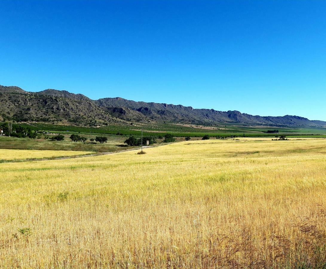 Casa Vidal Relax Al Pie De La Sierra Βίλα Yecla Εξωτερικό φωτογραφία
